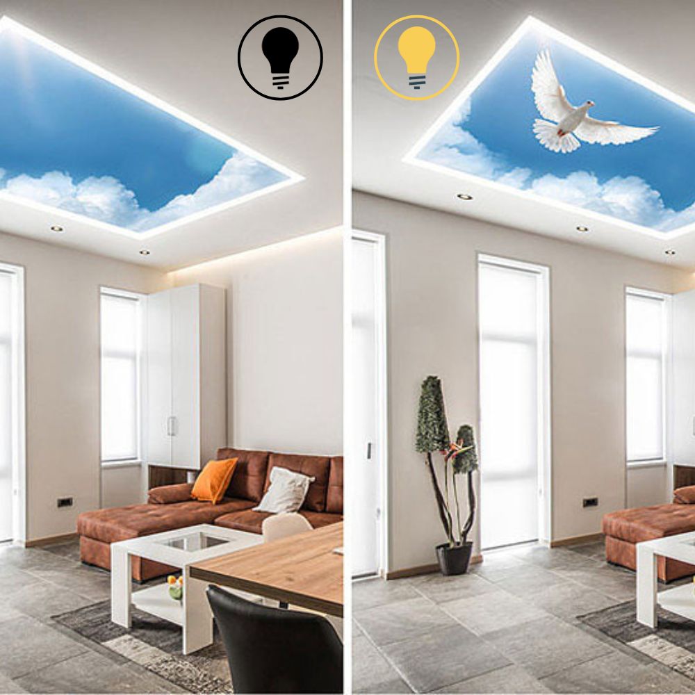 Double Vision PVC Spanndecke mit Keder - Folienbreite bis 500 cm