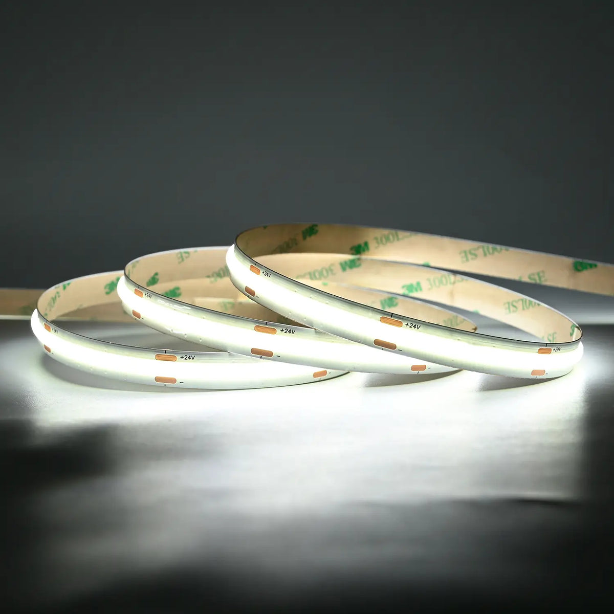Premium COB LED Streifen 24V 5m mit 6500K Kaltweiß und CRI >90