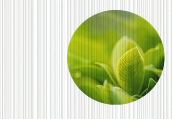 Premium Vinyl-Fototapete 950 g/m² - Modell C2-135