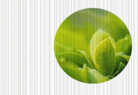 Premium Vinyl-Fototapete 950 g/m² - Modell C2-135