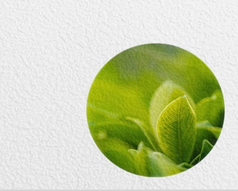 Premium Vinyl-Fototapete 450 g/m² - Modell C3-138